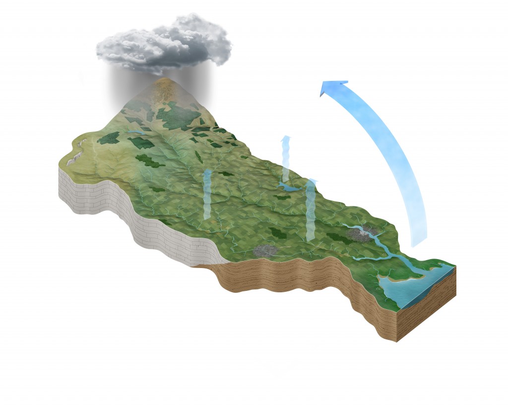 a-beginners-guide-to-integrated-catchment-management-and-the-epa-s-role