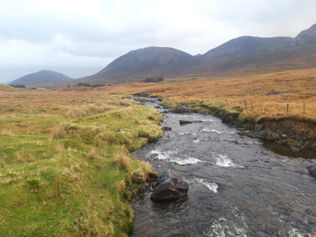 Blue Dot Catchments – working to let life thrive in some of our wildest ...